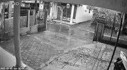 Pencuri Burung Terekam CCTV Dengan Jelas