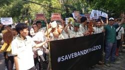 1 Bulan Bandung Zoo Tutup, Puluhan Karyawan Desak Pemerintah Turun Tangan