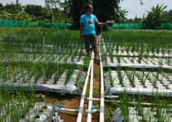 Unsoed Kembangkan Sistem Irigasi Otomatis Berbasis IoT untuk Bawang Merah di Cilacap
