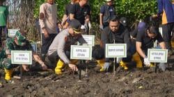 Tangkal Abrasi, 1000 Mangrove Ditanam di Pesisir Kedungmalang Jepara