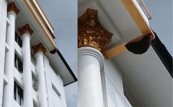 Bikin Heboh, Sarang Tawon Berukuran Jumbo Nggantung di Gedung Pemkab Ponorogo