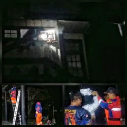 Damkar Palangka Raya Evakuasi Sarang Tawon Vespa di Rumah Betang Universitas Palangka Raya