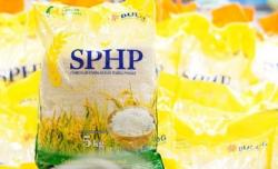Lonjakan Harga Beras Dipicu Kenaikan Gabah, Ini Strategi Pemerintah Menahannya