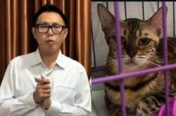 Dianggap Selamatkan Kucingnya, Eko Patrio Minta Penangguhan Penahanan Pelaku Penjarahan