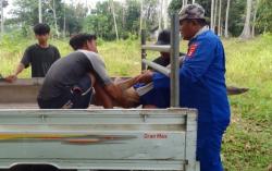 2 Remaja Digulung Ombak di Pantai Cinangka, Pencarian Masih Berlangsung
