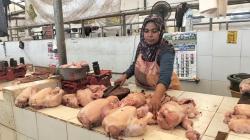 Harga Daging Ayam dan Telur Meroket di Boyolali, Pasar Tradisional Sepi Pembeli