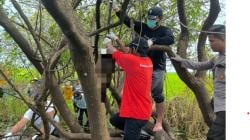 Geger Mayat Tergantung di Tengah Rawa di Kutai Kartanegara, Ditemukan Tinggal Tulang Belulang