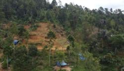 Warga Lebak Girang! Tambang Emas Bakal Dikelola Koperasi, Tak Perlu Lagi Menambang Ilegal