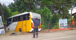 Bus Parkir Mendadak Meluncur Hantam Pohon di Balikpapan, Ditinggal Sopir ke ATM