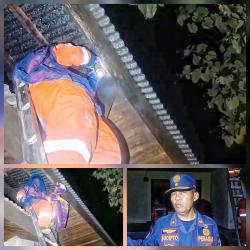 Damkar Evakuasi Sarang Tawon Vespa yang telah menyengat Pasangan Suami Istri Pemilik Rumah