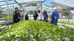 Lapas Indramayu Jadi Pusat Edukasi Hidroponik bagi Karang Taruna Desa Cikedung