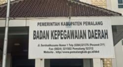 Senyum Semringah Ribuan Tenaga Honorer Pemalang: Resmi Diangkat Menjadi PPPK Paruh Waktu