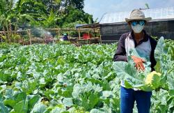 Alih Status 40 Penyuluh Pertanian Kudus ke Pusat Mulai 1 Januari 2026