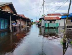 Hujan Deras Dua Hari Sebabkan Ratusan Rumah Terendam di Kalimantan Tengah