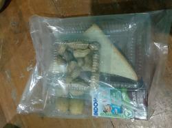 Program MBG di Sokawera Pakai Menu Kacang Rebus, Warga Pertanyakan Kualitas Makanan
