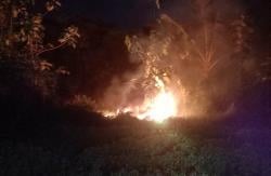 Lahan Persawahan di Bantul Terbakar, Polisi: Waspadai Kemarau Panjang