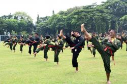 Latihan Kader Pelatih Pencak Silat Militer Kodam Diponegoro Ditutup, 131 Prajurit Naik Tingkat