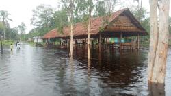 Warga Dua Kampung di Sorong Selatan Terendam Banjir, Forkom Imekko Desak Pemerintah Turun Tangan