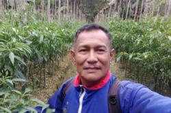 Kisah Imar, Petani Lingga yang Sukses Panen Cabai Keriting di Dabo Singkep