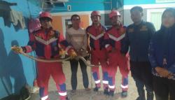 Teror Ular Kobra 3 Meter Muncul ke Pemukiman di Gowa, Damkar Evakuasi