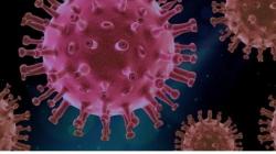 RSUD Pandega Pangandaran Imbau Warga Waspada Ancaman Virus Hanta