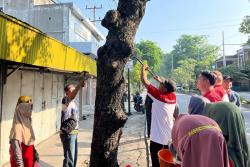 World Cleanup Day 2025 di Grobogan Berhasil Cabut 31 Kilogram Paku Yang Tertancap di Pohon