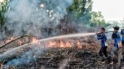 Tim Dalkarhutla Dishut Kalteng Padamkan Kebakaran Lahan di 3 Titik Palangka Raya