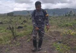 Perkuat Ketahanan Pangan, TNI AL Banyuwangi Dampingi Petani Semprotkan Biofermentasi