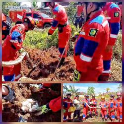 Petugas Damkar Evakuasi Ular Piton 4 Meter Mati dan 30 Telurnya di Bawah Pohon Garonggang