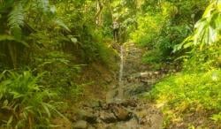 Teriakan Petani Karangsari: Katanya Dukung Pangan, Tapi Jalan Kami Dibiarkan!