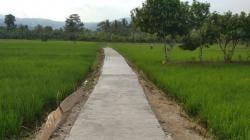 Pemprov Banten Kucurkan Rp5 Miliar untuk Bangun Jalan Usaha Tani 2,5 Km di Wanasalam