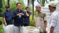 Perum Bulog Sumut Jamin Stabilitas Harga Gabah Lewat Penyerapan 3 Ton Hasil Panen