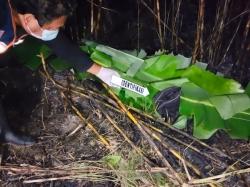 Tragedi di Lahan Tebu Sragen: Petani 74 Tahun Meninggal Dunia Akibat Terbakar