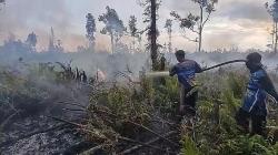 Cuaca Ekstrem Picu 3 Titik Kebakaran Lahan di Palangka Raya