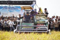 Panen Raya di Indramayu, Wamentan RI Apresiasi Petani Karangmulya