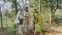 Menjadi Sentra Penyedia Air PLTA, Lereng Gunung Slamet Terus Dihijaukan.
