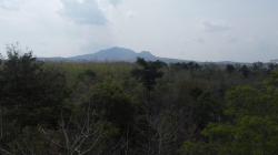 Potensi Geopark di Nganjuk, Fosil Purba dan Budaya Lokal Jadi Modal Utama