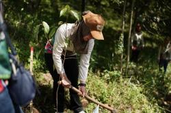 Konservasi Lingkungan, 100 Pohon Endemik Jabar Ditanam di Taman Kehati Kiara Payung