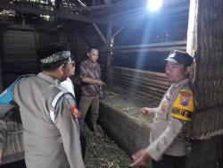 Usai Terlibat Pembacokan Pasutri, Warga Tiris Probolinggo Kini Kehilangan Lima Ekor Sapi