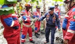 Ular Piton 4 Meter Pemangsa Ayam Ternak Warga Dievakuasi Damkar Palangka Raya