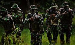 TNI AD Longgarkan Syarat Rekrutmen 2025: Usia Maksimal Naik, Tinggi Badan Minimum Turun