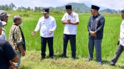 Cegah Jadi Sarang Hama, Lahan Tidur 20 Tahun di Agam Akan Disulap Jadi Kawasan Produktif