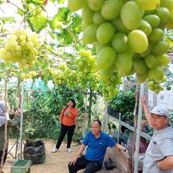 Wilayah Jepara Utara Diplot Kawasan Agrowisata, Jadi Daya Ungkit Baru Perekonomian Daerah