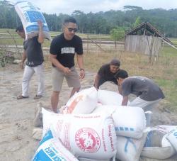 Pengusaha Muda Desa Sirnagalih Angkat Harkat Petani: Hasil Bumi Lokal Tembus Pasar Luar Daerah