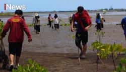 IMM Unismuh Tanam Seribu Mangrove, Hijaukan Pesisir Takalar