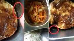 Bikin Mual! Menu Makan Bergizi Gratis Disejumlah Daerah Banyak Belatung hidup Viral