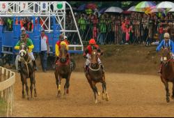 IHRC II Sukses di Payakumbuh, Dorong Arena Pacuan Kuda Internasional di Sumbar