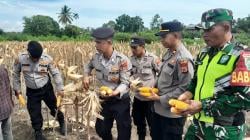 Polres Pidie Jaya Panen Raya Jagung Serentak Kuartal III Dukung Swasembada Pangan 2025