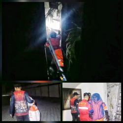 Sarang Tawon Vespa Loreng Dievakuasi dari Wisma di Palangka Raya, Satu Tamu Diserang