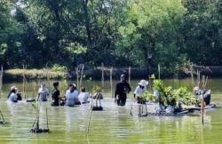 Pulihkan Pesisir, Relawan Tanam 1.000 Mangrove dan Kurangi Sampah di Surabaya